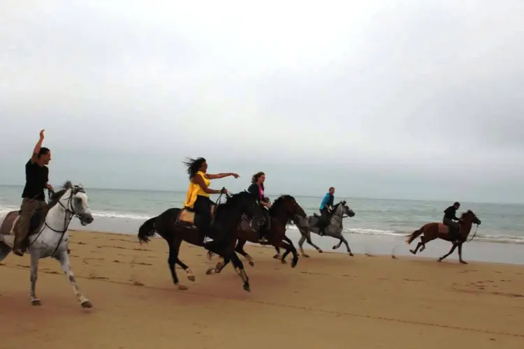 Agadir horse riding -outdoor activity