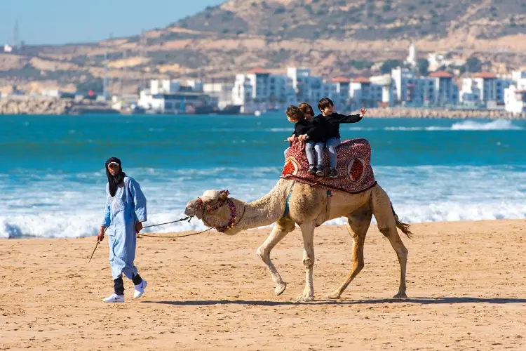 camel riding-agadir-tour