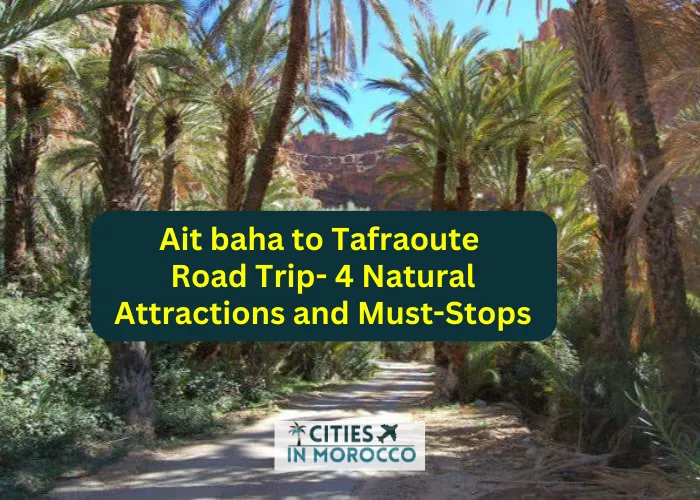 Ait baha to Tafraoute Road Trip- 4 Natural Attractions and Must- Stops