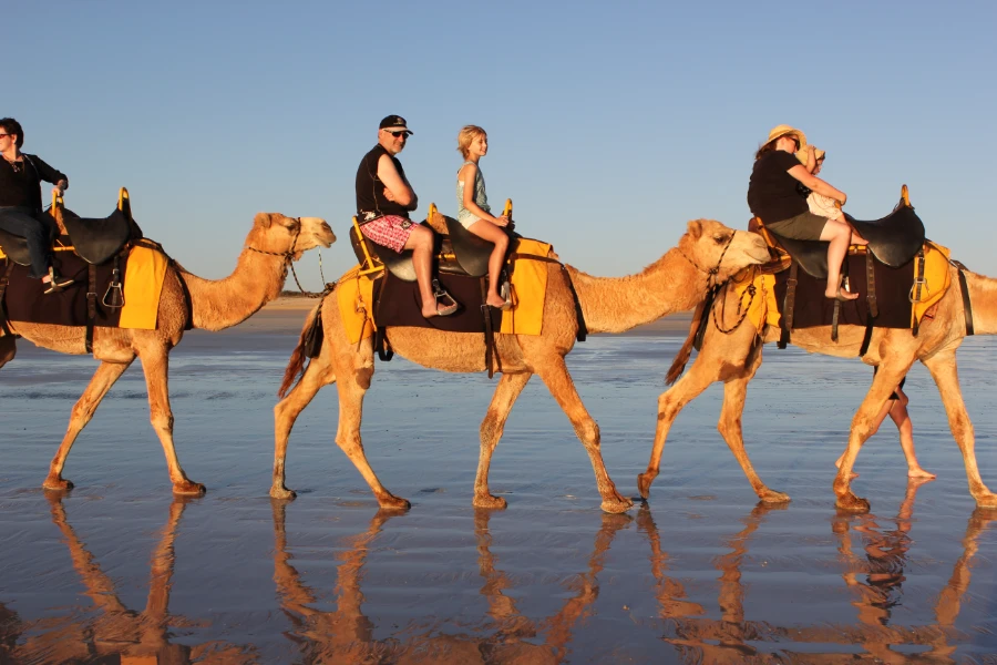 camel-ride-in-Agadir beach - Imourane
