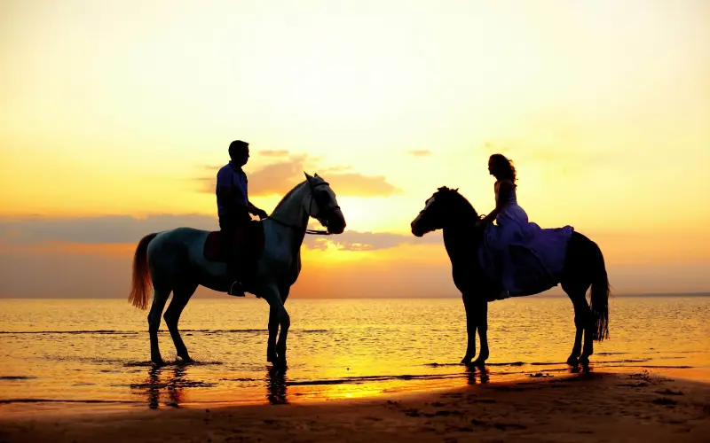 horse backriding in Agadir near the beach for couples